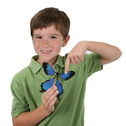 Wind-Up Butterfly Toy (asstd. colours), 1 pc