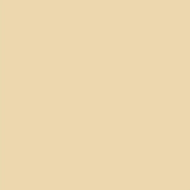 Craft Paint 60 ml - Beige, 1 pc