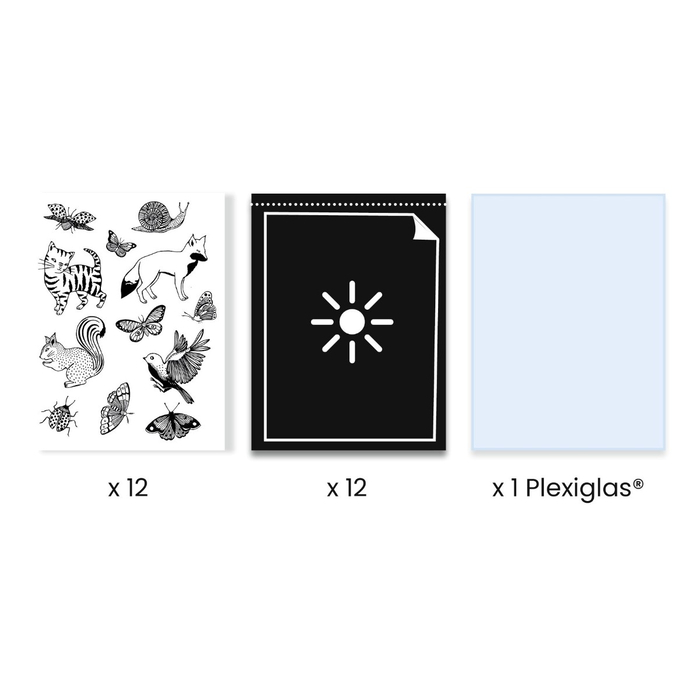 Cyanotype Kit - Nature