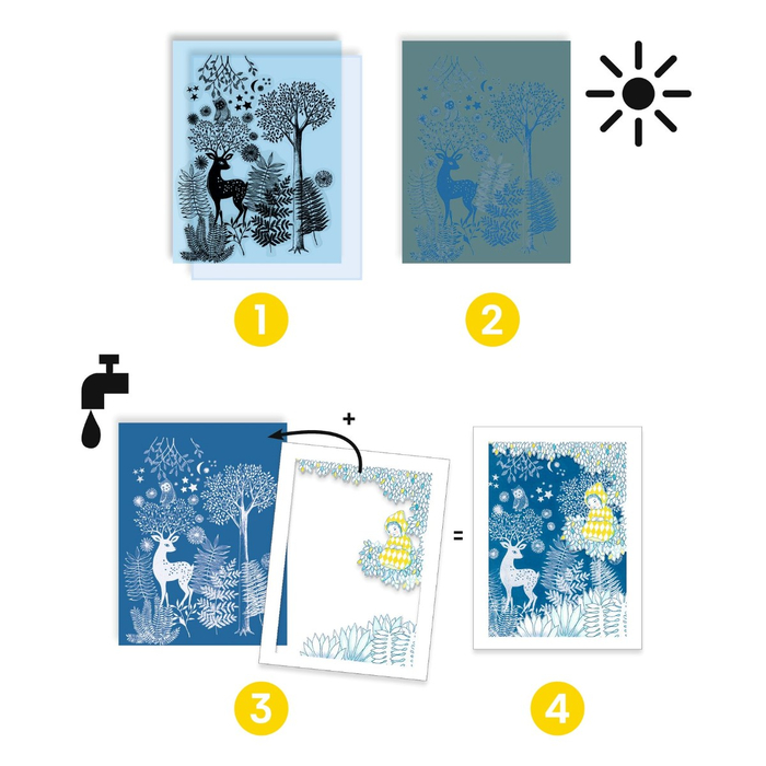 Cyanotype Kit - In the Moonlight