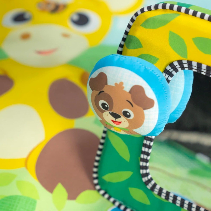 Baby Einstein - Discovery Garden Mat & Mirror