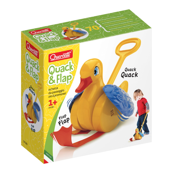 Quack & Flap Push-Along Duck Toy