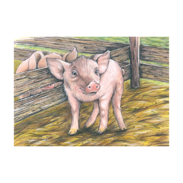 Cube Puzzle - Farm Animals, 9 Cubes