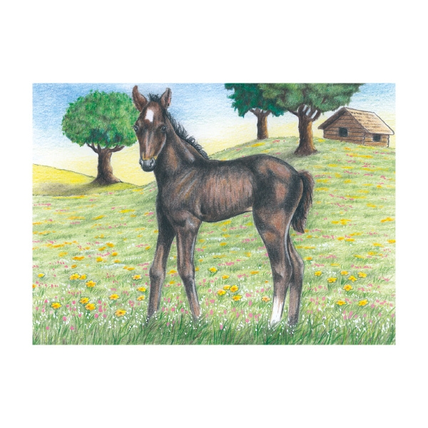 Cube Puzzle - Farm Animals, 9 Cubes