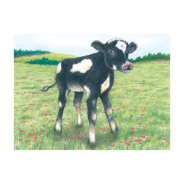 Cube Puzzle - Farm Animals, 9 Cubes
