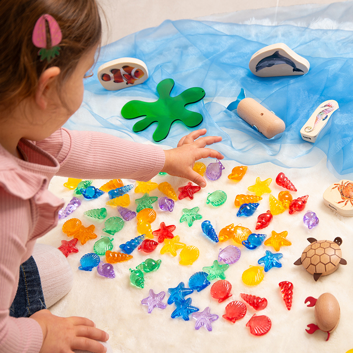 Translucent Colour Shells, 72 pcs