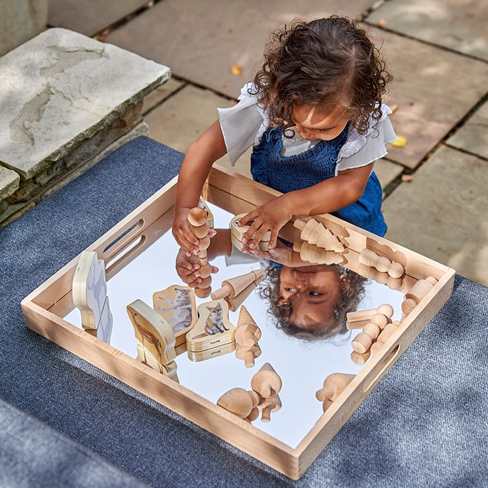 Wooden Mirror Tray - Large