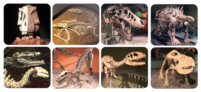 Torch Projector with Slides - Meet a Dinosaur