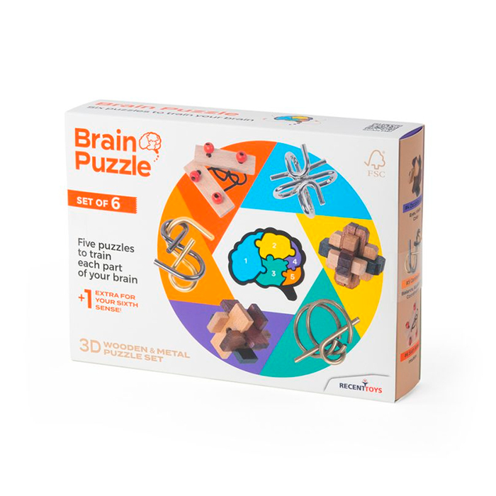 Brain Teasers 6-in-1 Puzzles