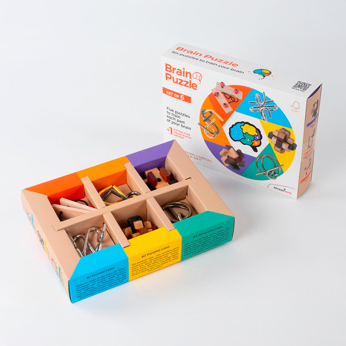 Brain Teasers 6-in-1 Puzzles