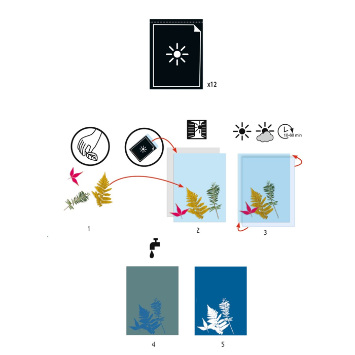 Cyanotype Kit - 12 Sheets