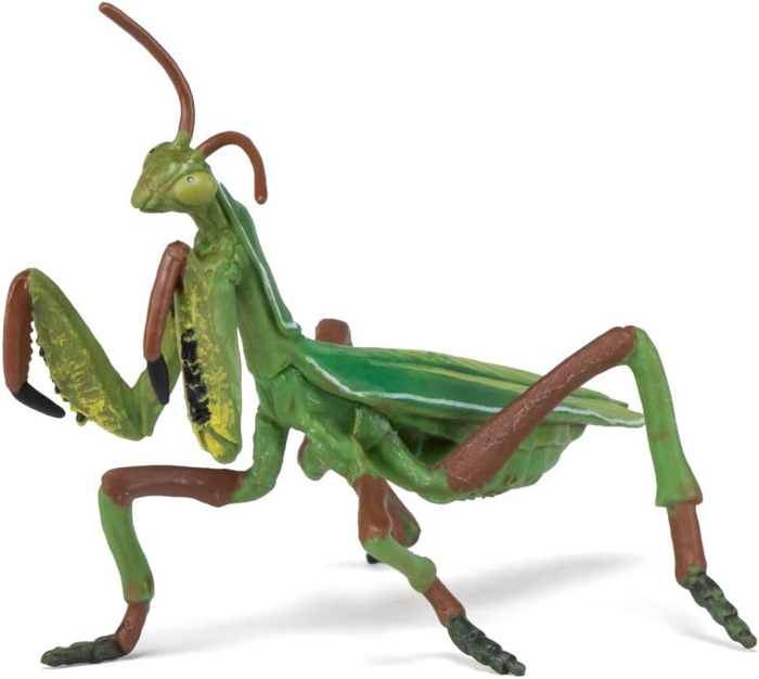 Praying Mantis, L: 10 cm