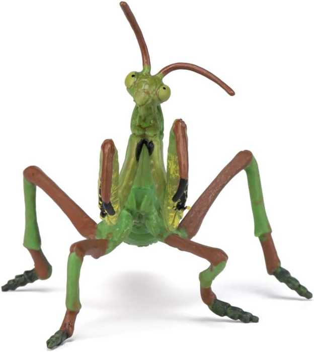 Praying Mantis, L: 10 cm