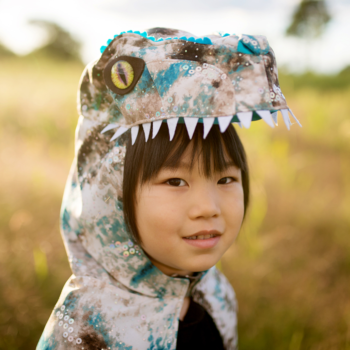 Velociraptor Costume, 4-6 yrs