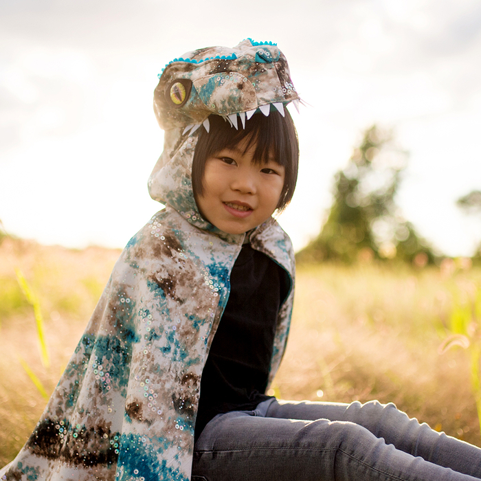 Velociraptor Costume, 4-6 yrs