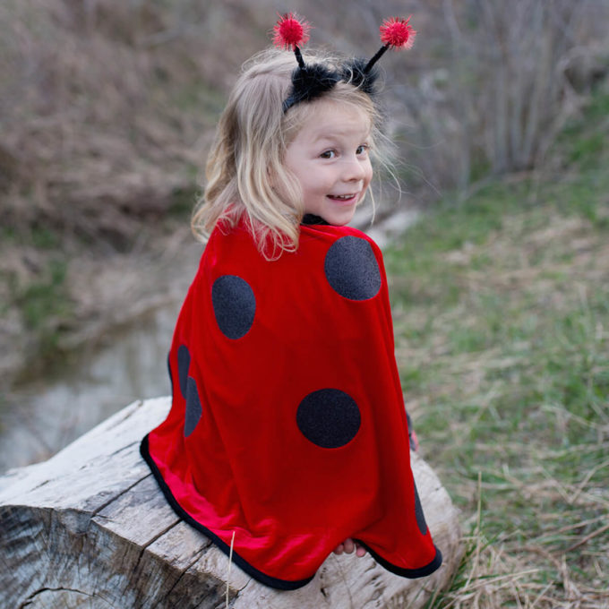 Ladybug Costume, 18-36 months