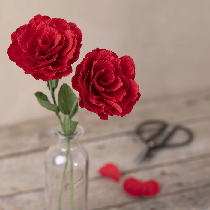 Crepe Paper Mini Kit - Roses