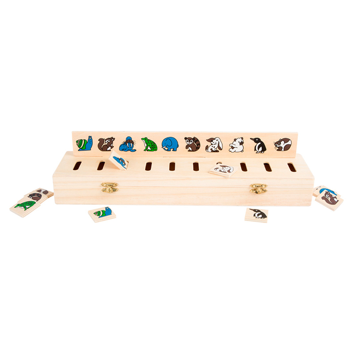 Picture Sorting Box - Shapes & Colours