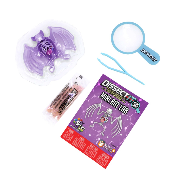 Dissect It - Mini Bat Lab
