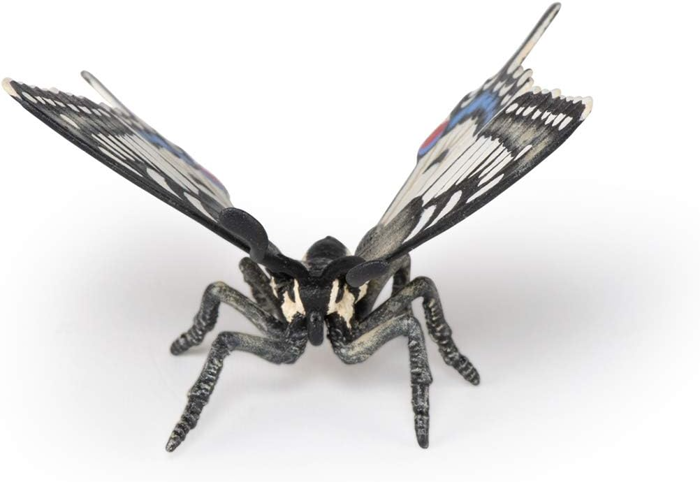 Swallowtail Butterfly, W: 5.5 cm