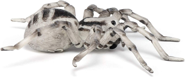 Tarantula, Ø11.5 cm