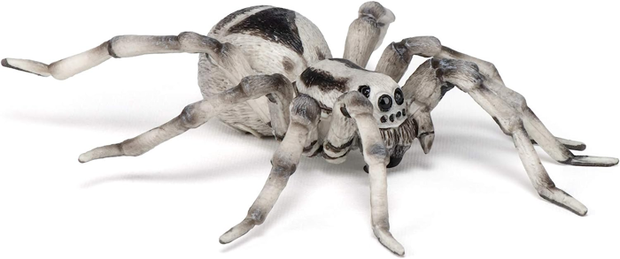 Tarantula, Ø11.5 cm