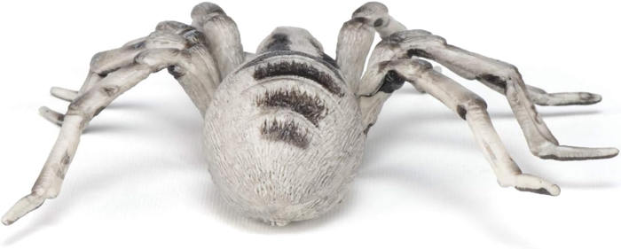 Tarantula, Ø11.5 cm