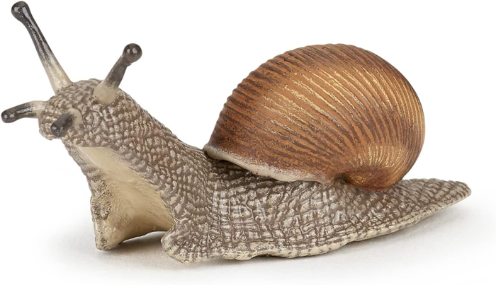 Roman Snail, L: 6 cm