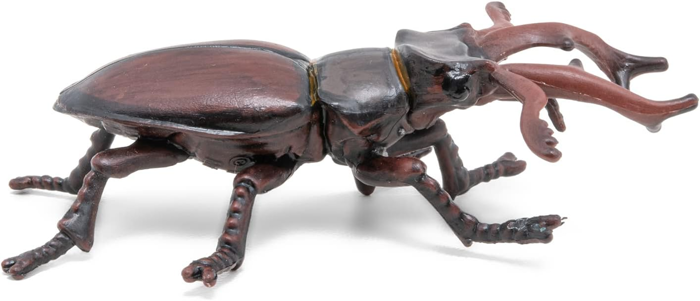 Stag Beetle, L: 7 cm