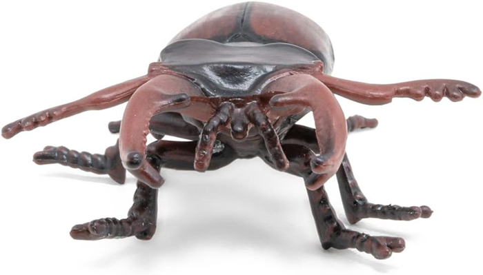 Stag Beetle, L: 7 cm