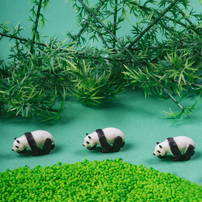 Discovery Bottle - Panda