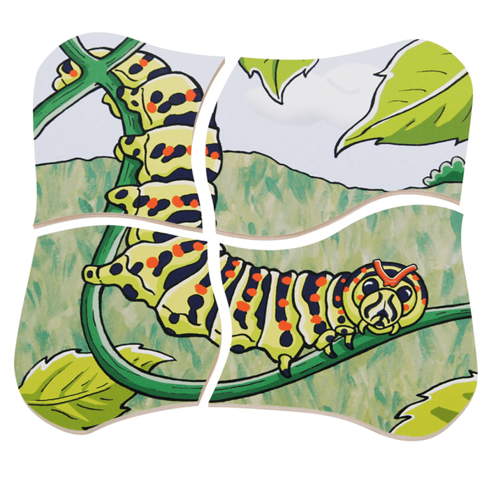 Layered Puzzle - Butterfly Life Cycle