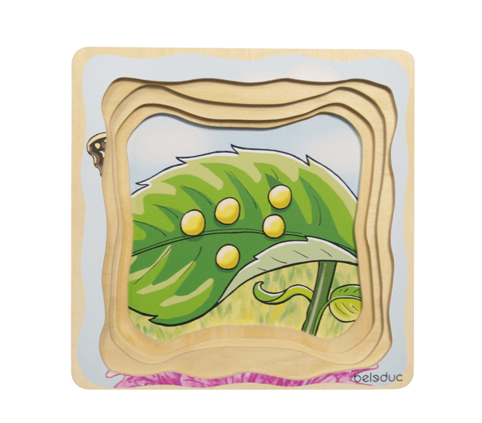 Layered Puzzle - Butterfly Life Cycle