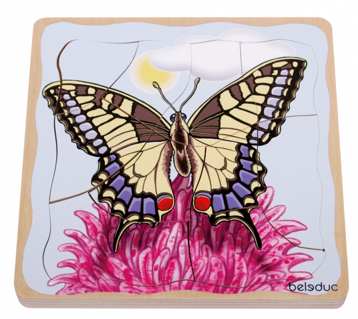 Layered Puzzle - Butterfly Life Cycle