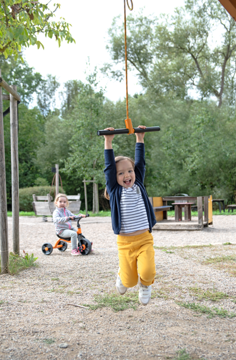 2-in-1 Swing - Twist & Swing