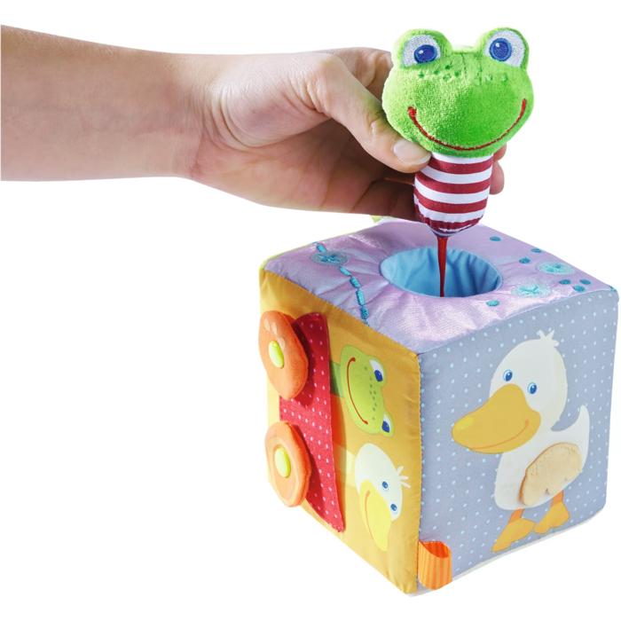 Activity Cube - Little Frog
