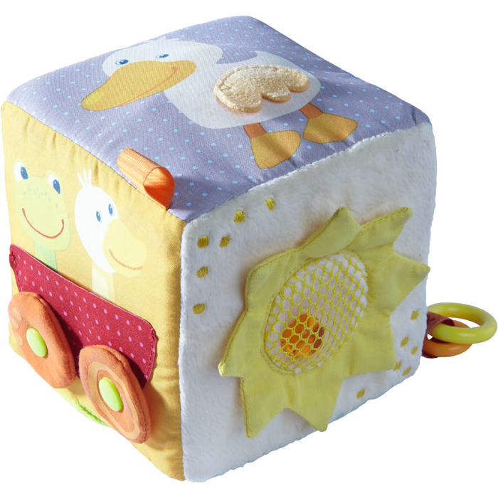 Activity Cube - Little Frog