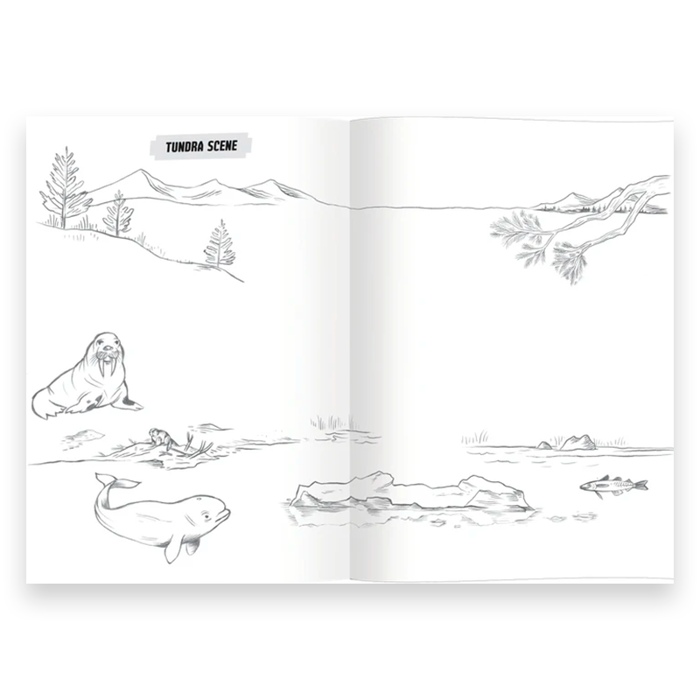 Learn to Draw - Wild Animals