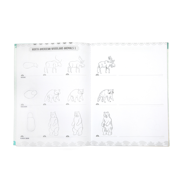 Learn to Draw - Wild Animals