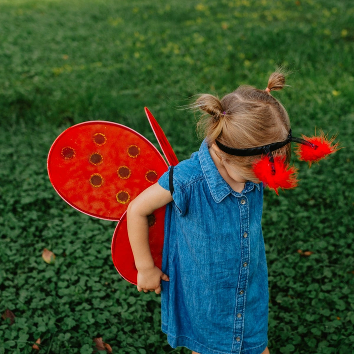 Ladybug Costume - Wings & Headband, Size 3-7 yrs