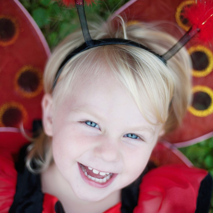 Ladybug Costume - Wings & Headband, Size 3-7 yrs
