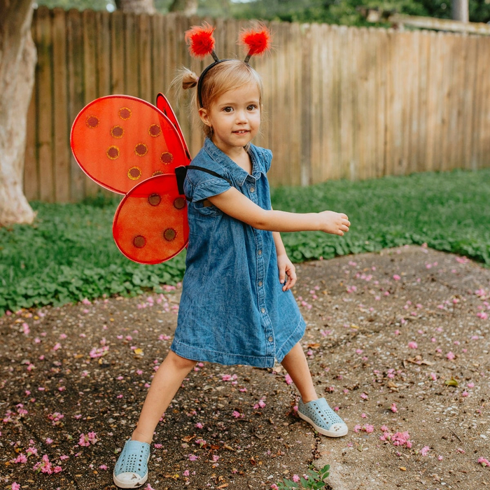 Ladybug Costume - Wings & Headband, Size 3-7 yrs
