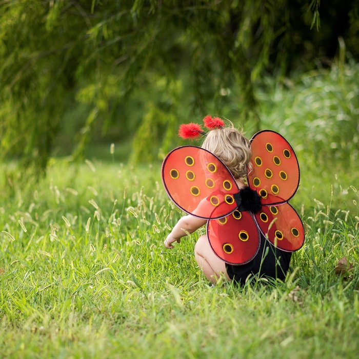 Ladybug Costume - Wings & Headband, Size 3-7 yrs