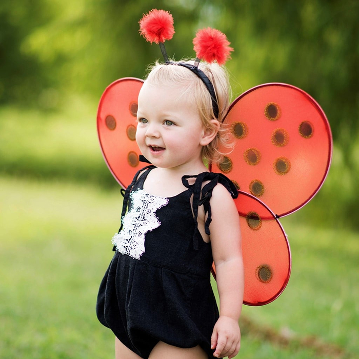 Ladybug Costume - Wings & Headband, Size 3-7 yrs