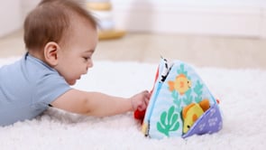 Tummy Time Triangle - Ocean