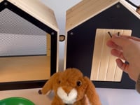 Rabbit Hutch and Run