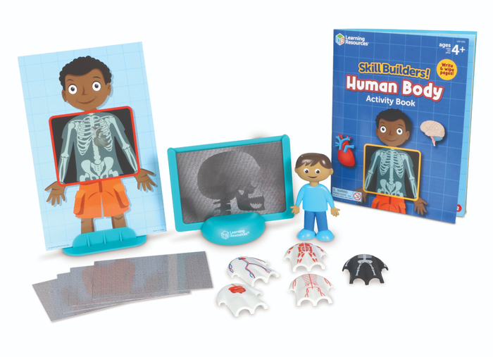 Skill Builders! - Human Body Activity Set