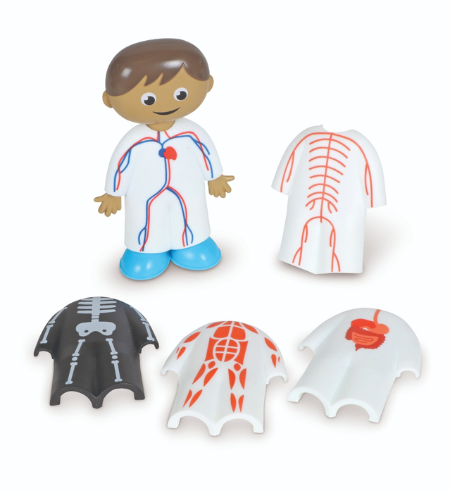 Skill Builders! - Human Body Activity Set