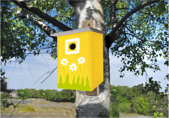 Build and Paint Your Own Bird House