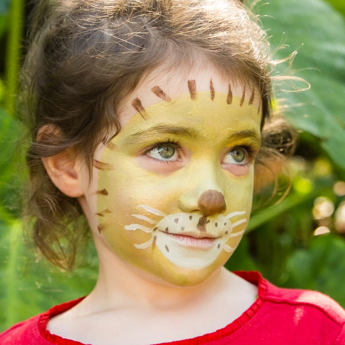 Face Paint with 3 Colours - Lion & Giraffe